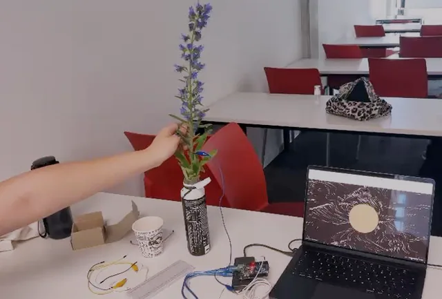 A hand rests on the flowering stem, clipped to a blue wire, while the laptop beside it shows the particle visual unfolding.